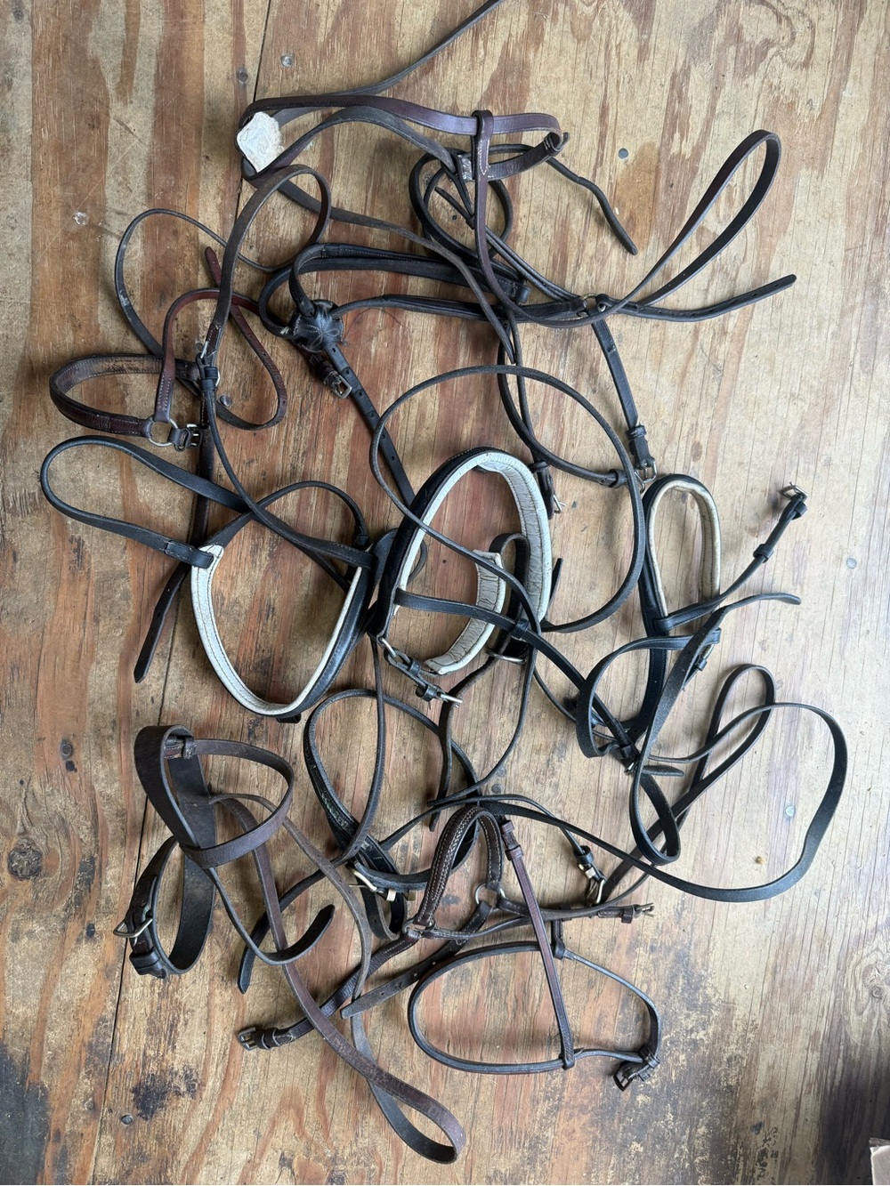 Lot of bridle parts